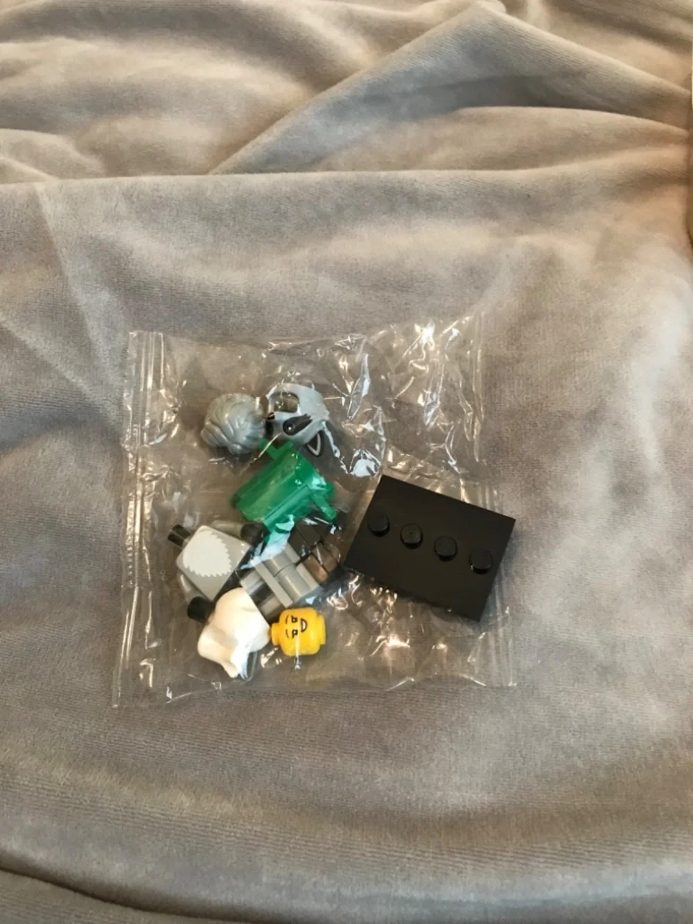 Lego raccoon costume